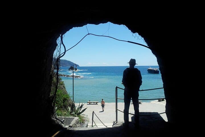 Cinque Terre Private Minivan and Ferry Tour from Pisa — Manarola, Vernazza & Monterosso in a Day photo 5