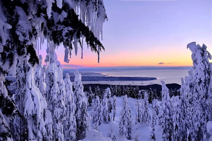 Snowshoeing Vancouver's North Shore: Cypress Mountain Winter Day Trip