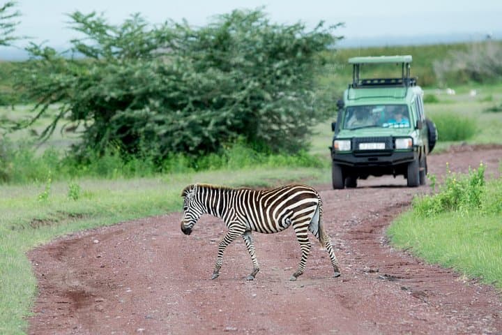 4-Day Budget Camping Safari: Serengeti, Ngorongoro & Tarangire photo 3