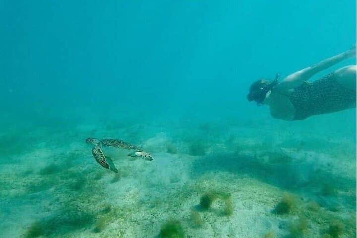 San Juan Snorkel with Sea Turtles — Videos & Gear Included photo 4