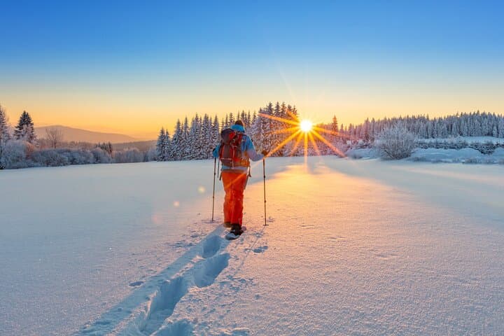 Snowshoeing Vancouver's North Shore: Cypress Mountain Winter Day Trip photo 4