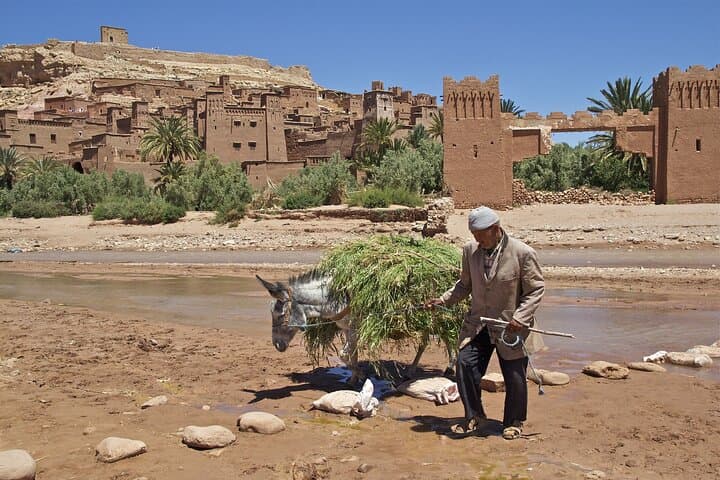 6-Day Morocco Imperial Cities & Sahara Desert Tour from Casablanca