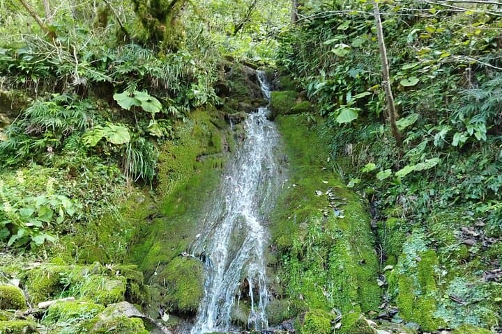 Prometheus Cave & Martvili Canyon: Full-Day Day-Trip from Kutaisi photo 6