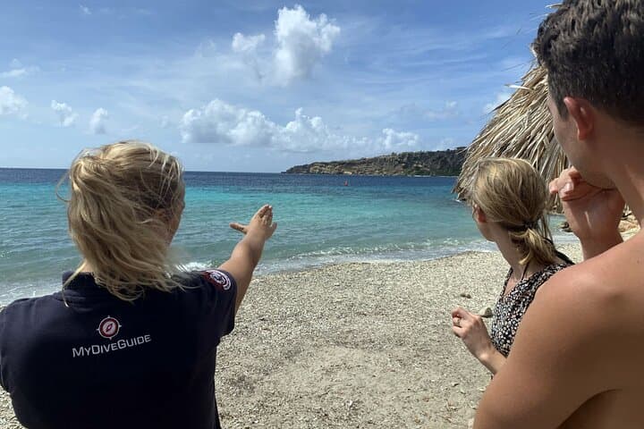 Discover Scuba Diving in Curacao — Beginner Guided Dives from Willemstad