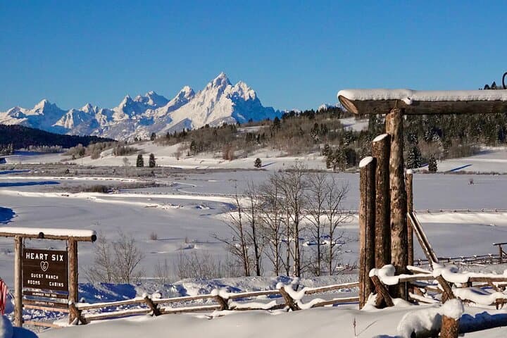 Jackson Hole Dog Sledding & Snowmobiling Combo at Heart Six Ranch photo 5