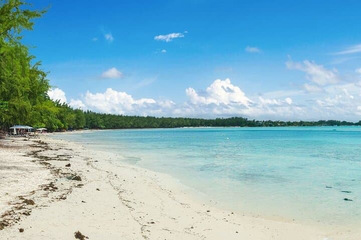 North Mauritius Full-Day Private Tour: Pamplemousses, L'Aventure du Sucre & Cap Malheureux photo 4