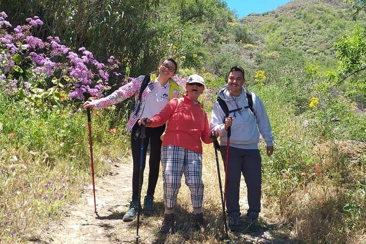 Green Gran Canaria Blossom Hikes — Small‑Group Guided Walks photo 6
