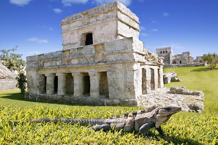 Tulum Cenotes, Ruins & Madre Naturaleza: Full-Day Combo Tour Guide