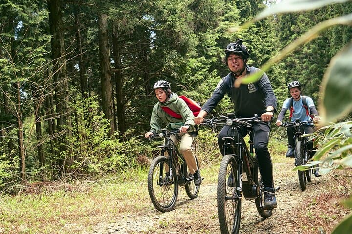 eMTB to Mt. Omine: Summit Views of the Seto Inland Sea photo 3