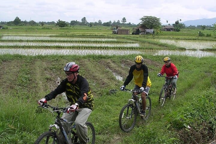 Chiang Mai Rice Fields Biking Tour in the Mae Ping Valley photo 4
