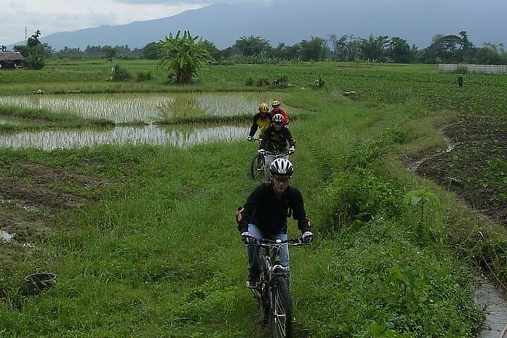 Chiang Mai Rice Fields Biking Tour in the Mae Ping Valley photo 5
