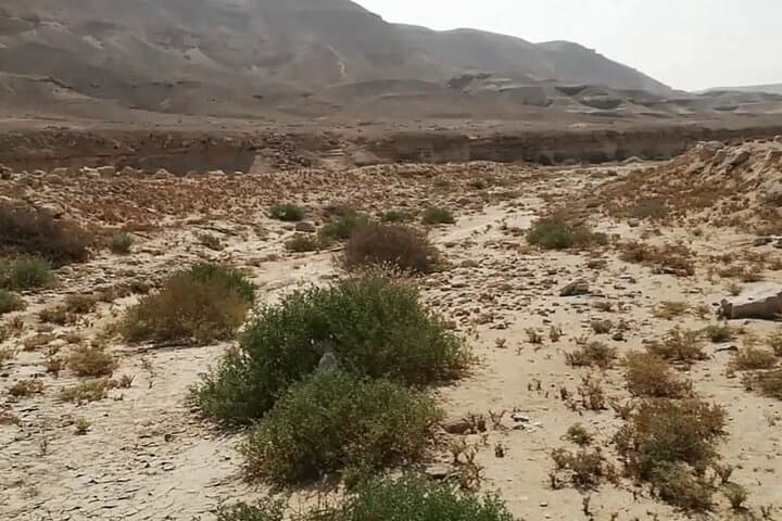 Wadi El Gamal Safari from Marsa Alam: Day Trip into Egypt's Valley of the Camels photo 4