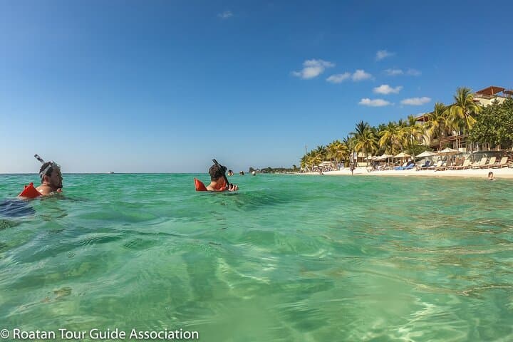 West Bay Guided Snorkel: Shore-Entry Access to Roatán’s Barrier Reef photo 3