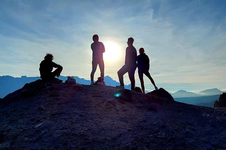 Teide National Park Small-Group Tour: Volcanic Landscapes & Pine Forests photo 6