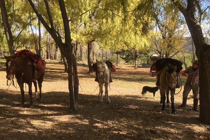 2-Day Horseback Expedition into the Andes from Mendoza photo 2