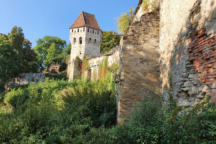 One-Day Private Tour from Bucharest: Bran Castle, Peles Castle & Brasov photo 6