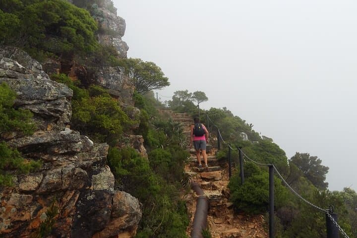 Pipe Track Family Hike on Table Mountain — Easy Coastal Walk with Ocean Views photo 3