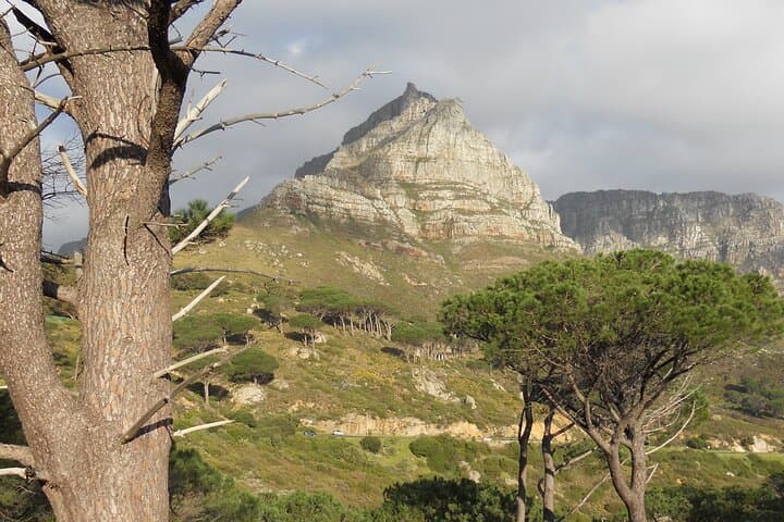 Pipe Track Family Hike on Table Mountain — Easy Coastal Walk with Ocean Views photo 6