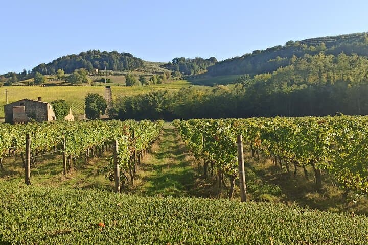 Florence to Siena Private Minivan Transfer — Scenic Chianti Route & Stops photo 6