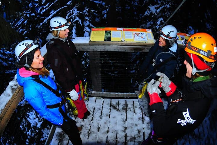 Whistler Winter Dusk Zipline — 2-Hour Evening Canopy Adventure photo 4