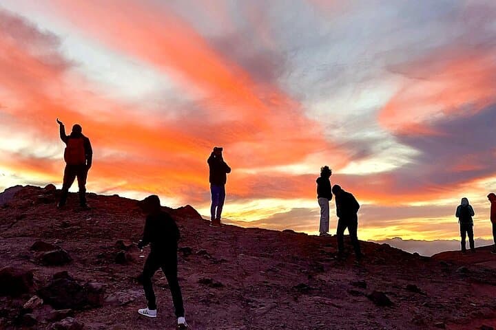 Teide National Park Small-Group Tour: Volcanic Landscapes & Pine Forests photo 3