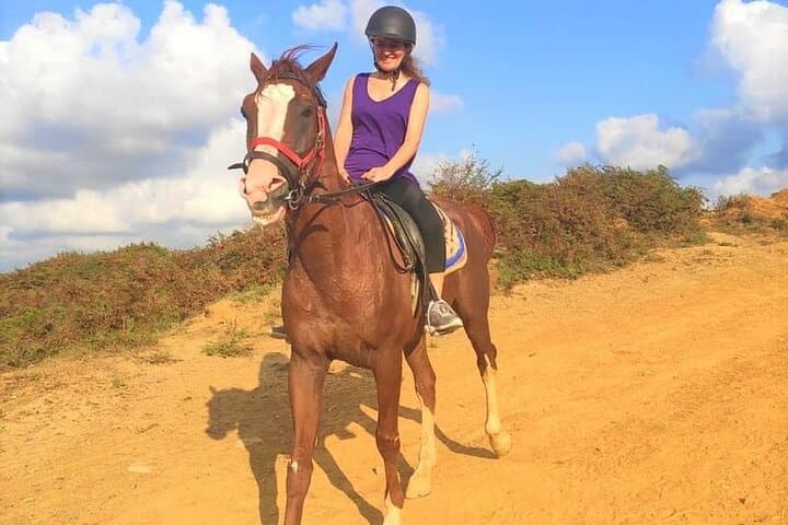 Bodrum Horse Riding Tour with Hotel Pickup — Countryside Ride on Gentle Horses photo 3