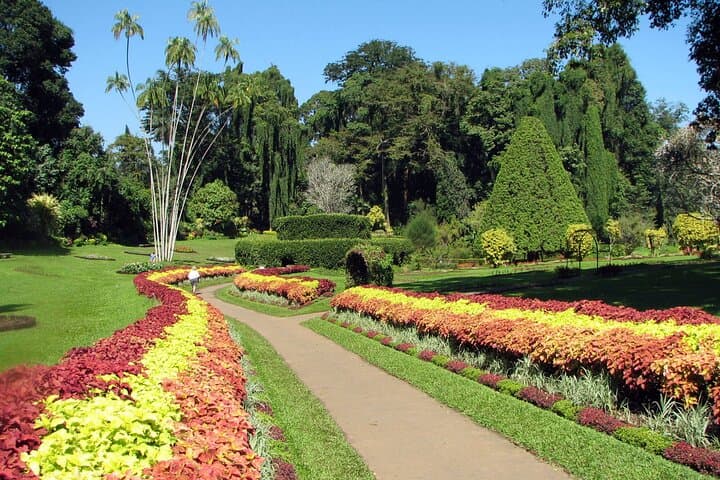 Private Colombo to Kandy Transfer — Comfortable 4-Hour Drive with English-Speaking Driver photo 5