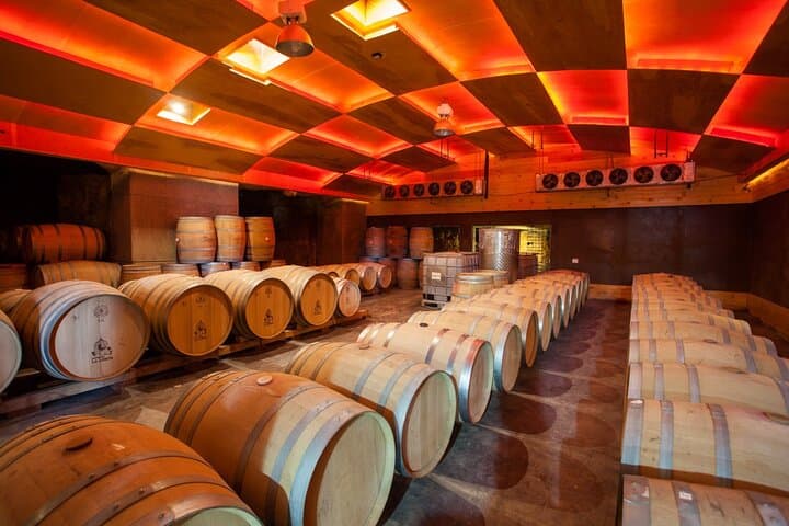 Valle de Guadalupe Private Wine Tour: 10-Hour Driver & Vehicle photo 5