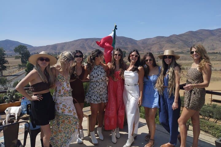 Valle de Guadalupe Private Wine Tour: 10-Hour Driver & Vehicle photo 6