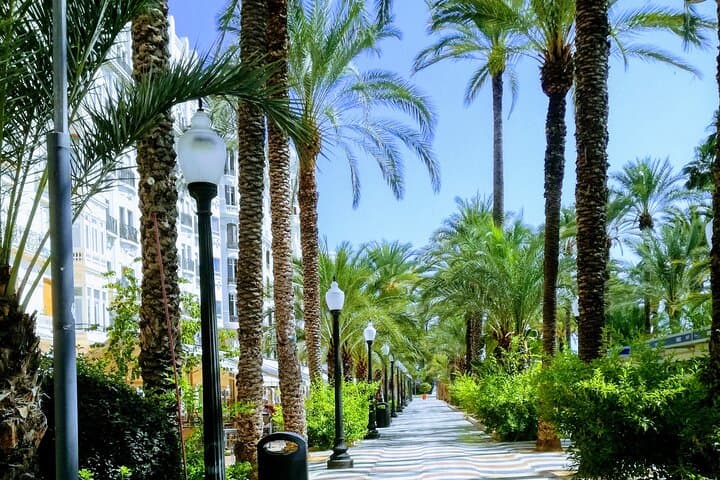 Private Full-Day Alicante Tour from Valencia — Castillo, Explanada & Postiguet photo 4