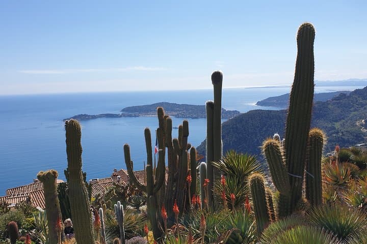 Private Riviera Day Trip: Nice, Eze Village & Monaco with a Local Guide photo 3