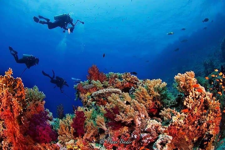 Ras Mohamed Snorkeling Day Trip from Sharm El Sheikh photo 2