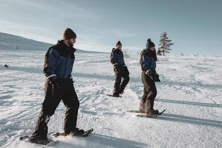 Snowshoe Fun Around Rovaniemi: Guided Winter Forest Walks photo 2
