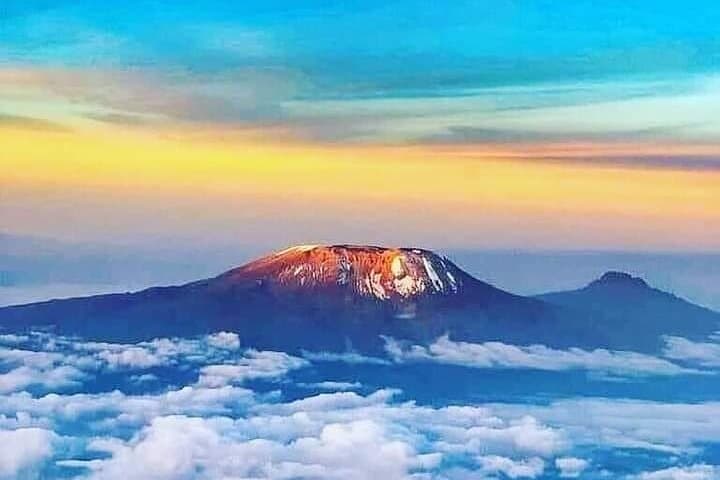 Lemosho Route 8-Day Kilimanjaro Climb — Private Guided Summit Trek photo 6