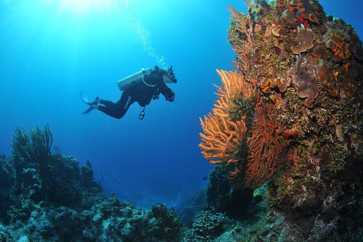 Discover Scuba Diving in Búzios: João Fernandes Reef Intro Dive photo 2