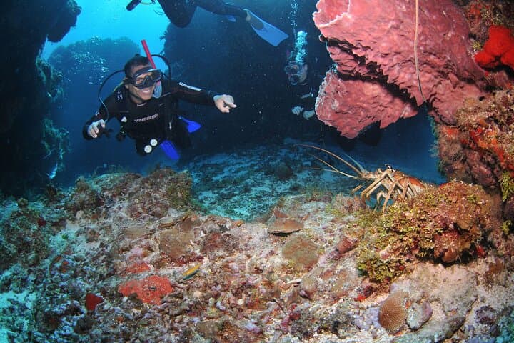 Discover Scuba Diving in Búzios: João Fernandes Reef Intro Dive photo 4