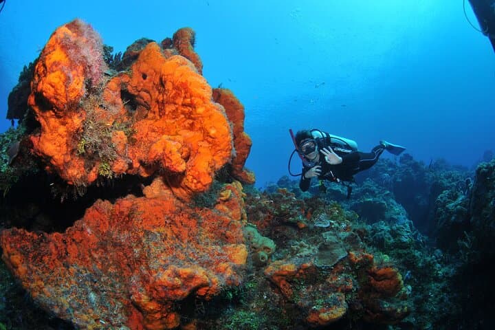 Discover Scuba Diving in Búzios: João Fernandes Reef Intro Dive photo 5