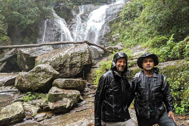 Sinharaja Rain Forest Bird Watching: Private Guided Tour to Sri Lanka's Endemics photo 6