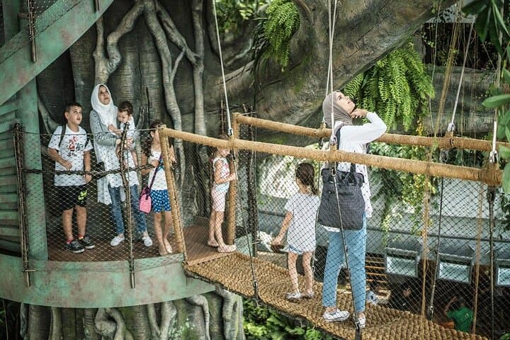 Inside Dubai’s Green Planet: A Vertical Rainforest Experience at City Walk photo 2