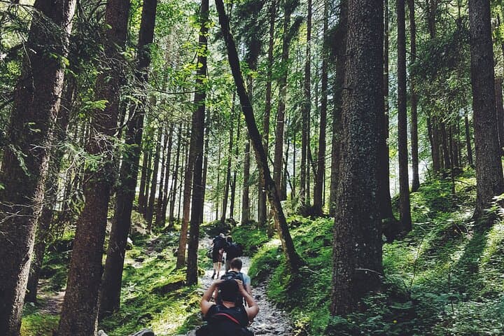 Private Tree House Night and Guided Hike in Hardine, Lebanon photo 2
