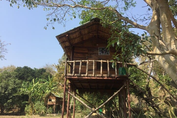 4-Day Caravan Adventure: Corbett Safari & Mukteshwar Camp Experience photo 4