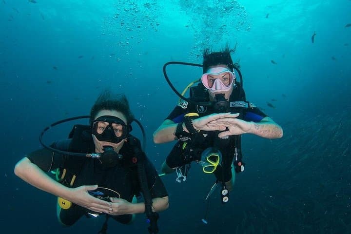 Learn to Scuba Dive in Koh Tao: 4-Day Open Water Course with La Bombona