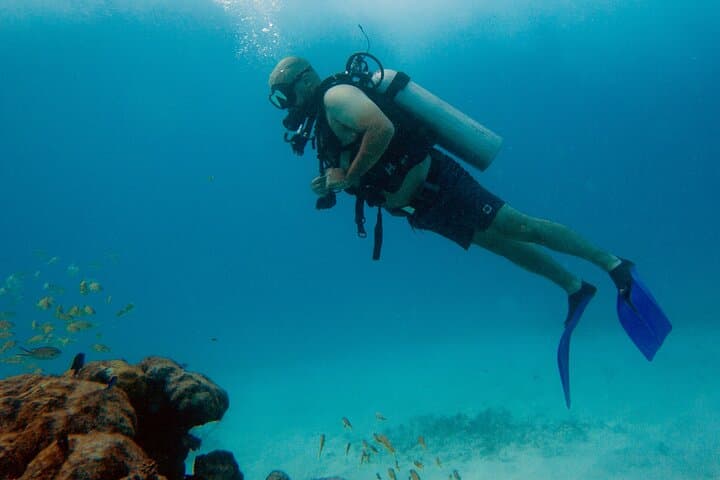First-Time Scuba in Cancun: MUSA & Mesoamerican Reef Beginner Dive photo 2