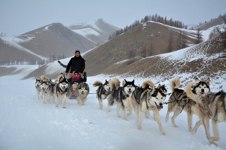 Gobi Desert Winter Escape: Private 6-Day Mongolia Tour photo 3