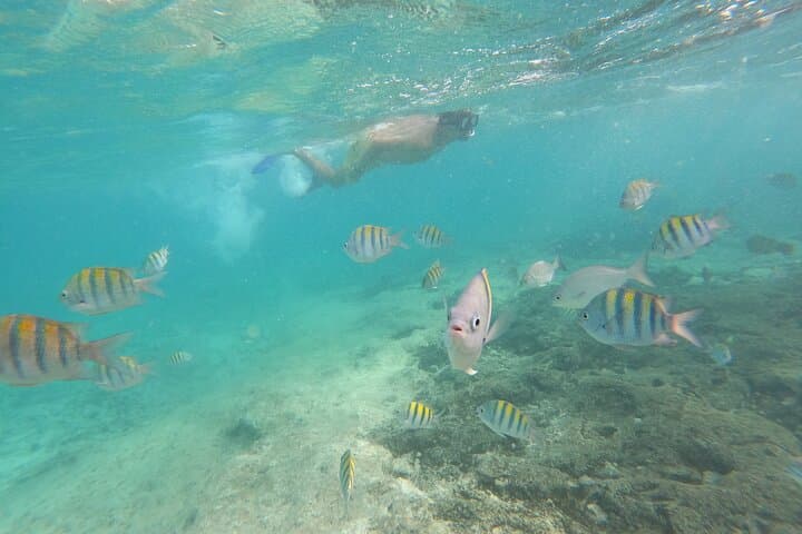 Private Snorkeling at Isla Mujeres and MUSA — Best Reefs for Beginners and Families photo 4