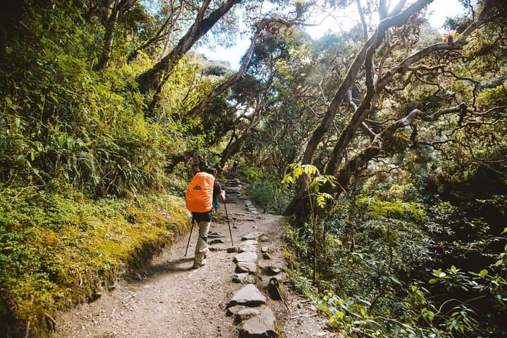 4-Day Inca Trail to Machu Picchu: Guided Trek from Cusco photo 5