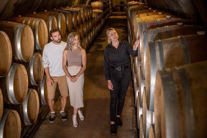 Gibbston Valley Wines Cave Tour: Explore New Zealand's Largest Wine Cave & Historic Vines photo 3