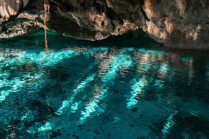 Explore Five Hidden Cenotes in the Riviera Maya: A Jungle Swim Adventure