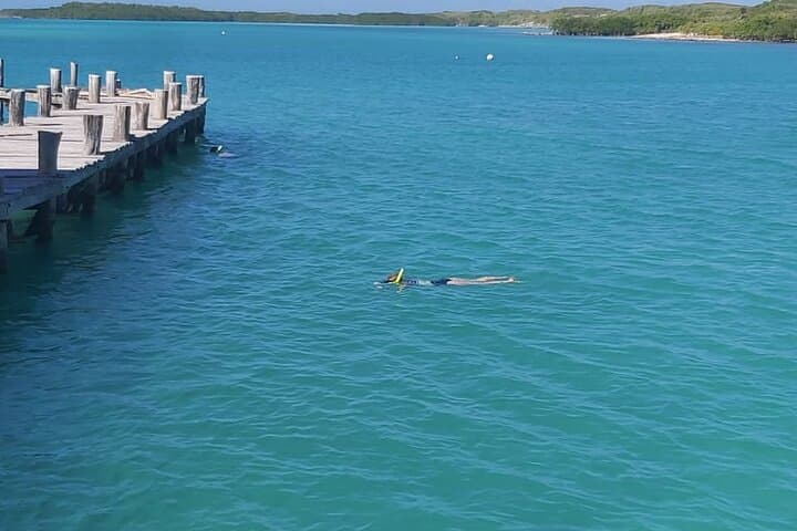 Isla Contoy and Isla Mujeres Full-Day Snorkel from Cancun photo 4