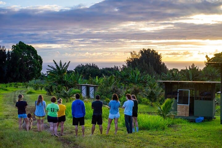 Walking Tour in Laupāhoehoe, Hawaii